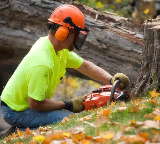 tree services Southport